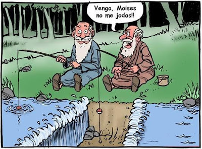 Chistes y anécdotas Rojos